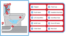 Anatomy of a Toilet Explained | Parts of a Toilet