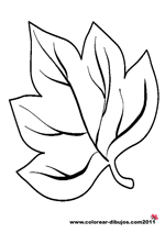 Hojas De Arbol Para Colorear