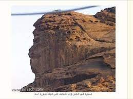 صخرة ع شكل راس أسد natural landmarks horseshoe bend landmarks