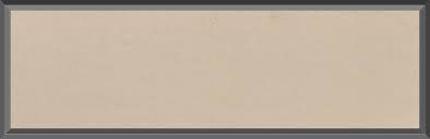 Image result for Alamo Beige 1964 Tempest