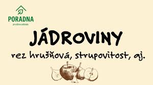 Image result for rez rzivost ostru%u017Einy