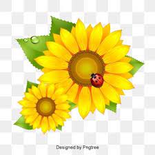 Maybe you would like to learn more about one of these? Sunflower Png Vector Psd And Clipart With Transparent Background For Free Download Pngtree Sunflower Png Flower Clipart Floral Wreath Watercolor