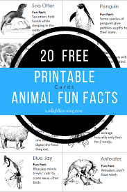 Not only animals are cute, but they're also quite interesting. 20 Free Animal Fun Facts Cards From Sunlight Learning Animal Facts For Kids Fun Facts About Animals Fun Facts