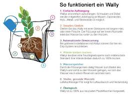 Pflanztasche Wally Three Von Wallygro Im Greenbop Online Shop Kaufen In 2020 Pflanztasche Pflanzenwand Vertikaler Garten