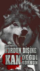 Batuhan Adli Kullanicinin Ulkucu Tasarim Panosundaki Pin Turkler Askeri Tarih Galeri