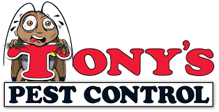 After scanning the internet reading reviews went with jg pest control.could not. Tony S Pest Control In Cape Coral Southwest Florida