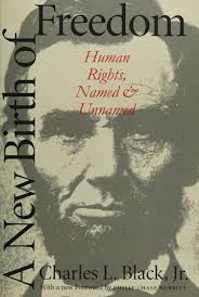 A new birth of freedom : human rights, named and unnamed : Black, Charles  L., Jr. (Charles Lund), 1915-2001 : Free Download, Borrow, and Streaming :  Internet Archive
