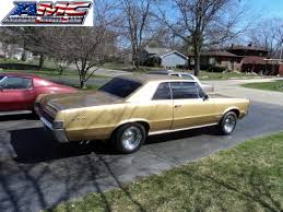 Image result for Tiger Gold 1965 GTO