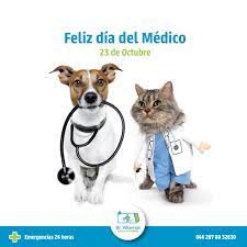 Este 17 de agosto es el día del médico veterinario zootecnista, siendo este la fecha que se fundó la primera escuela veterinaria de méxico y del continente americano. Cada 23 De Octubre Se Clinica Veterinaria Dr Villarreal Facebook