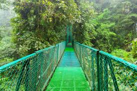 Find what to do today, this weekend, or in august. Hangende Hangebrucke In Monteverde Cloud Forest Reserve Costa Rica Lizenzfreie Fotos Bilder Und Stock Fotografie Image 65291412