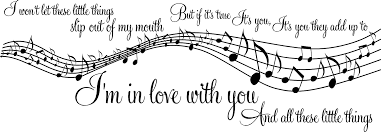 Type out all lyrics, even if it's a chorus that's repeated throughout the song. 1d One Direction Little Things Music Song Lyrics Notes Sticker Wall Art Lswa5010 Large 55cm X 145cm W Amazon Co Uk Diy Tools