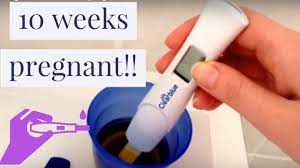 Kebahagiaan itu sederhana seperti perasaan gugup bercampur dengan rasa senang saat melakukan tes kehamilan dan menunggu hasil pada test pack anda. Clearblue Digital At 10 Weeks Pregnant Youtube