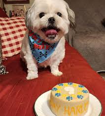 Okra and Molly (@okraandmolly) • Facebook