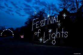 Take A Dreamy Ride Through The Largest Drive Thru Light Show In Virginia Bull Run Festival Of Lights Festival Lights Bull Run Light Show