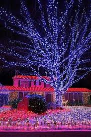 Home Done By Martin Andrew Lindsay In Ontario Canada More Than 70 000 Lights Best Christmas Lights Outdoor Christmas Lights Best Christmas Light Displays