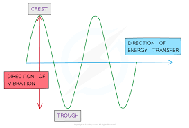 In a longitudinal wave the oscillating. Transverse Longitudinal Waves Cie A Level Physics 2019 21 Revision Notes