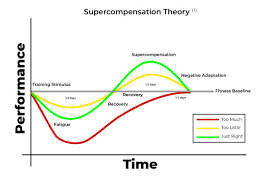 Image result for training effect schema