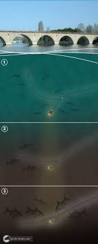 Epingle Sur Peche Feeder Com
