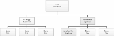 the fictional organization chart of the company promi