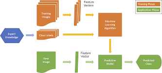 Still, to render success more certain, a careful observance of the above directions, which are based on the practical experience of growers. Automated Plant Species Identification Trends And Future Directions