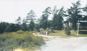 Last fall, my family and I moved to 201 Chippewa street. I grew up at 215  Chippewa and spent many years running around this neighborhood as a child  in the 90's. This