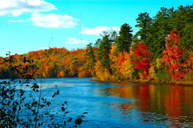 Maybe you would like to learn more about one of these? Beautiful Autumn Wallpaper 2