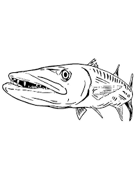 Barracuda page barracuda car pages muscle car plymouth cars pages dodge car pages muscle cars pages to print muscle car pages printable barracuda fish pg&e charger car page muscle car pages for adults alligator gar page remora fish page cartoon fish sheet hot rod muscle car pages flying fish page free muscle car pages full pages old car pages. Coloring Pages Coloring Pages Barracudas Printable For Kids Adults Free