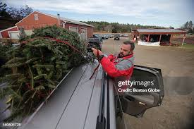 19 Dan Stowell Stock Photos, High-Res Pictures, and Images