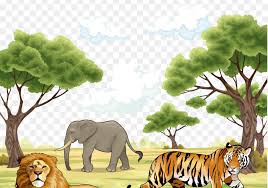 1050 Contoh Gambar Realis Hewan Gratis Terbaru Gambar Hewan