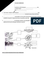 How to say the years in english. Daun Setawar