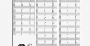 C9 Champion Size Chart Beautiful The Information Graph And Chart