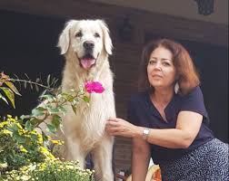 Maybe you would like to learn more about one of these? Ludovic Orban SoÅ£ie Vezi Cu Ce Se OcupÄƒ Mihaela Orban Si CaÅ£i Copii Are AlÄƒturi De Fostul Premier Wowbiz