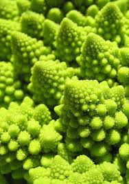 Christmastree Plant Fruit And Veg Romanesco Broccoli Cherry Seeds