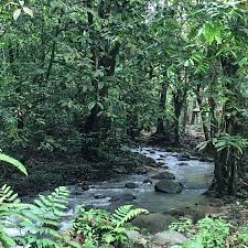 Maybe you would like to learn more about one of these? Great Time Review Of Sungai Congkak Recreational Forest Hulu Langat District Malaysia Tripadvisor