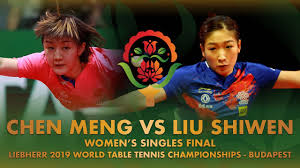 We are particularly interested in the signaling mechanisms by the photoreceptor and thermosensor Liu Shiwen Vs Chen Meng Liebherr 2019 World Table Tennis Championships Budapest Youtube