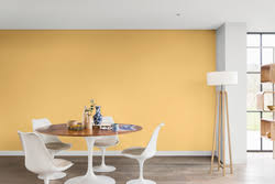 I consent to receiving the personalized newsletter from dulux, to be informed about akzonobel products (and services), including from other akzonobel group companies. Muted Mustard 28yy 62 321 Dulux