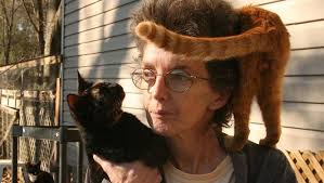 Cat rescuer seeks rescue of her own