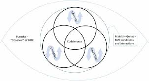 Expert recommended top 3 yoga studios in indianapolis, indiana. Frontiers Yoga Therapy And Polyvagal Theory The Convergence Of Traditional Wisdom And Contemporary Neuroscience For Self Regulation And Resilience Human Neuroscience