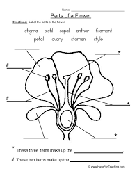 Plants Worksheets Have Fun Teaching Parts Of A Flower Plants Worksheets Parts Of A Plant