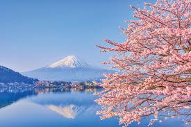 Exploring the popular area close to kamakura station. 2021 Japan Ir Crunch Time Part 2 Iag