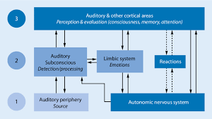 There are currently no objective tests for tinnitus. A Multidisciplinary European Guideline For Tinnitus Diagnostics Assessment And Treatment Springerlink