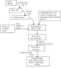 Flow Chart For Preparation Process Of Encapsulated