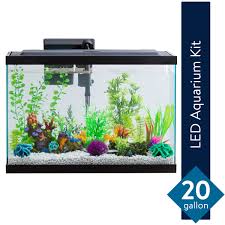 Aqua Culture 20 Gallon Aquarium Starter Kit With Led Online Only Price Walmart Com Walmart Com