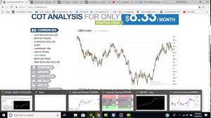 forex usd chf short with cot report