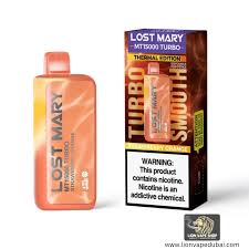 Lost Mary MT 15000 Puffs Turbo 50mg Disposable Vape in Dubai