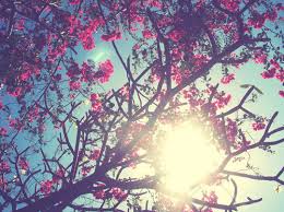 Resultado de imagen de tumblr