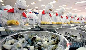 The most widely served seafood in the us is shrimp; Shrimp Exports To Canada Increased By Nearly 32 Hai Trieu Co Ltd