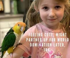 Lori Thorpe's Instagram, Twitter & Facebook