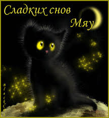 animovane foto black cat art cat art cats