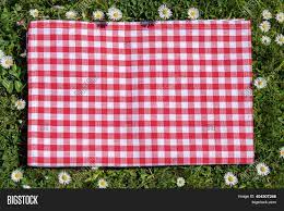 Target.com has been visited by 1m+ users in the past month Red Picnic Blanket Image Photo Free Trial Bigstock